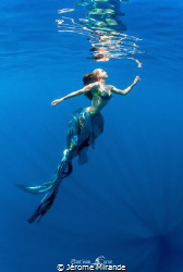 Mermaid dream by Jérome Mirande 
